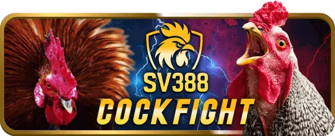 Tin tức 2king88 win mới nhất